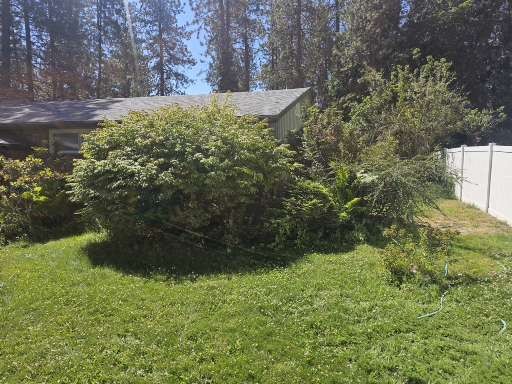 Before Bed Cleanout, Pruning & Bark Refresh in Spokane, WA — North